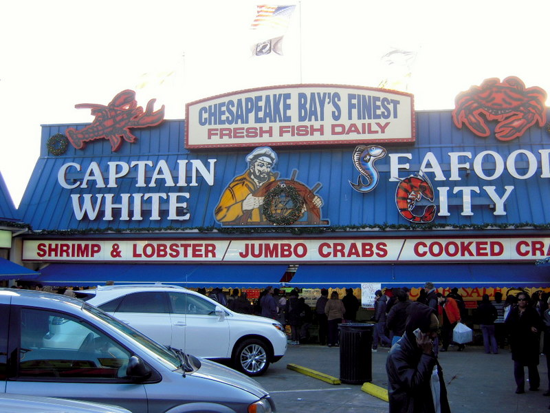 Main Avenue Fish Market, Washington, D. C. And Learning To Shuck Oysters