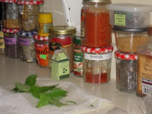 some Indian spices