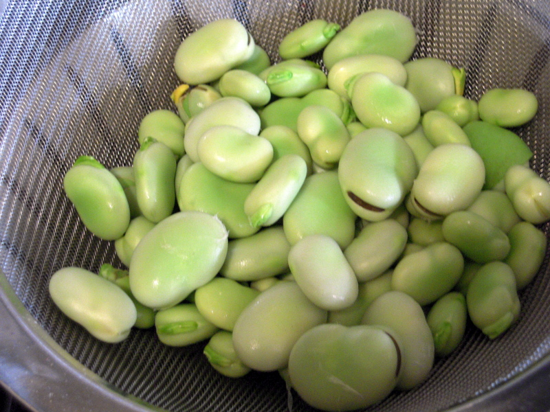 freshly peeled favas still in their fibrous outer shells