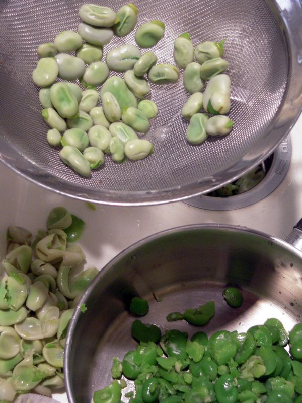 peeling the outer shells off the fava