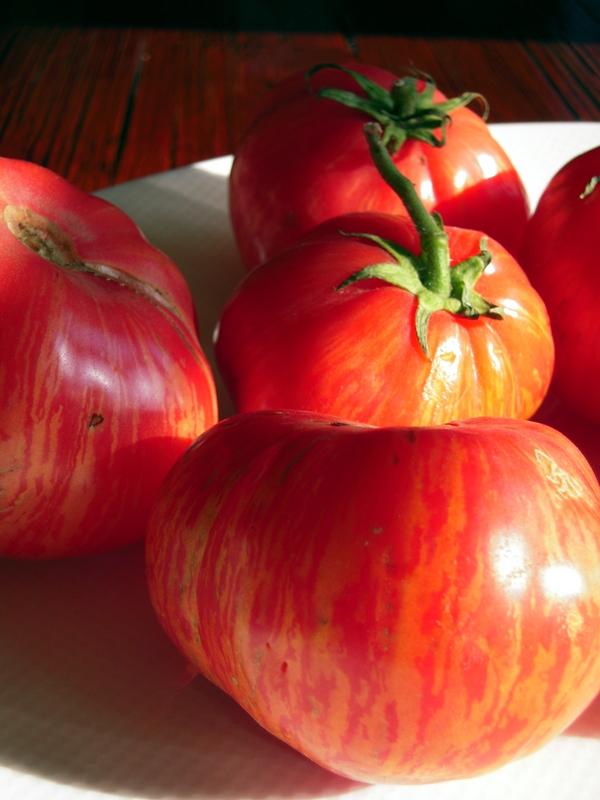 fresh and beautiful heirloom tomatoes