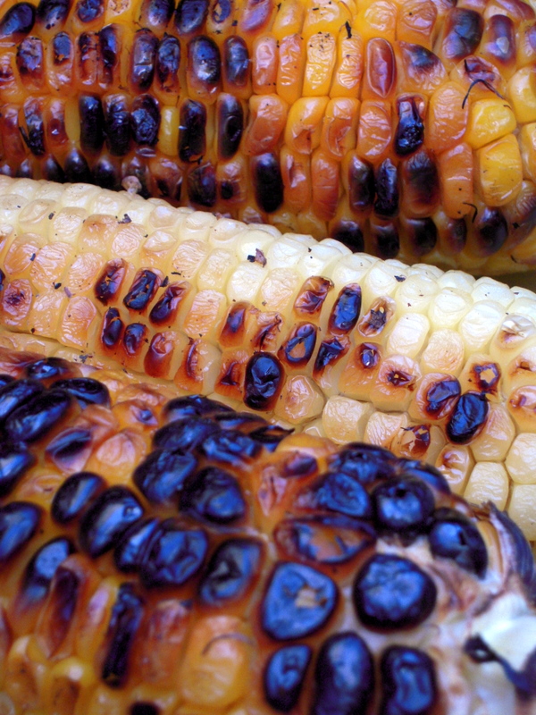 beautiful grilled corn-on-the-cob