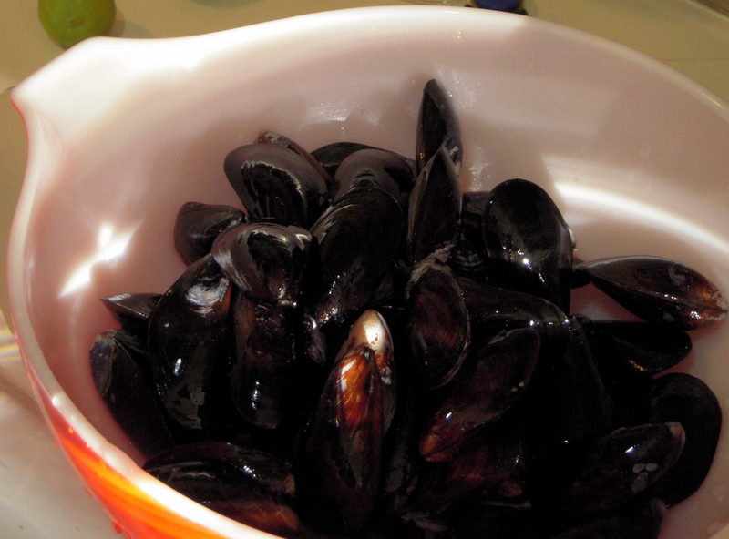 live mussels