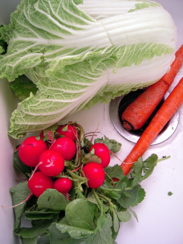 fresh ingredients for kimchi